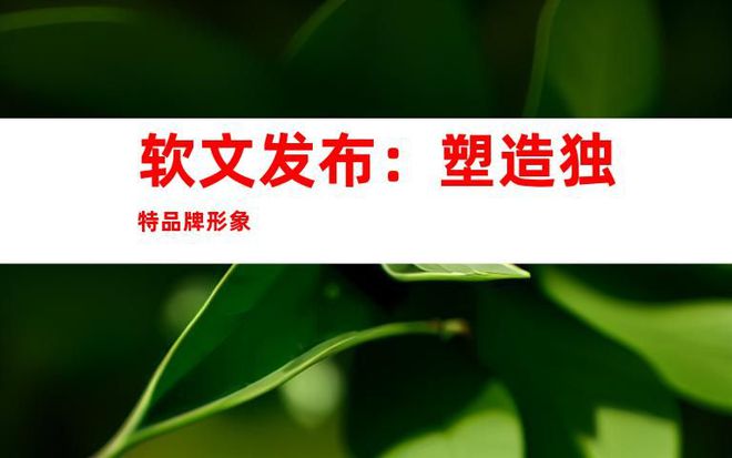 络宣传：文章全新的媒体发布渠道！九游会媒体网站推广、软文发布、网