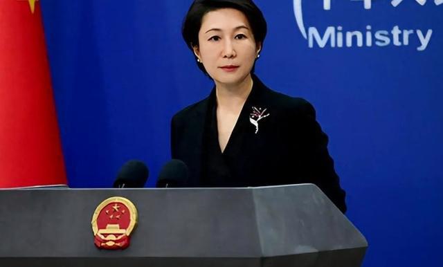 到访的岩屋毅口气变得老老实实j9国际中方提前立了3个规矩(图2)