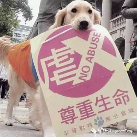 奇葩法律无处不在别怪我没提醒你j9九游真人游戏第一品牌新加坡(图8)