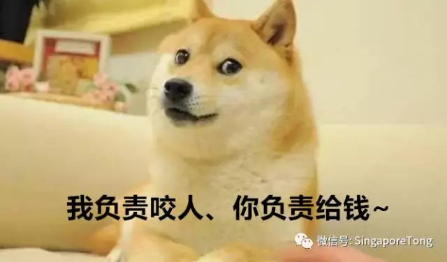 奇葩法律无处不在别怪我没提醒你j9九游真人游戏第一品牌新加坡(图17)