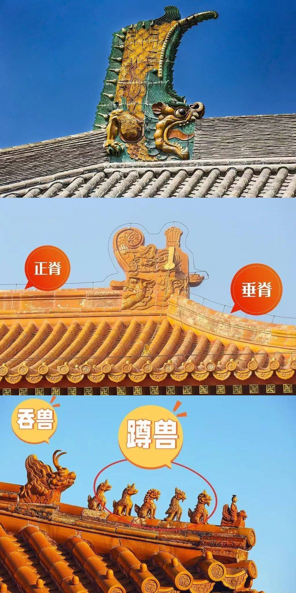 西广播电视报》2025年第20期J9真人游戏第一品牌电子版 《山(图11)