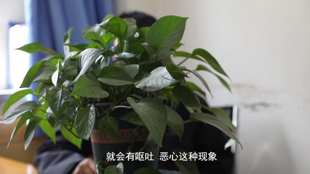 咖啡”被查！同款产品却仍在销售j9国际站超千万元有毒“减肥(图2)